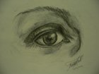 Sketch 1